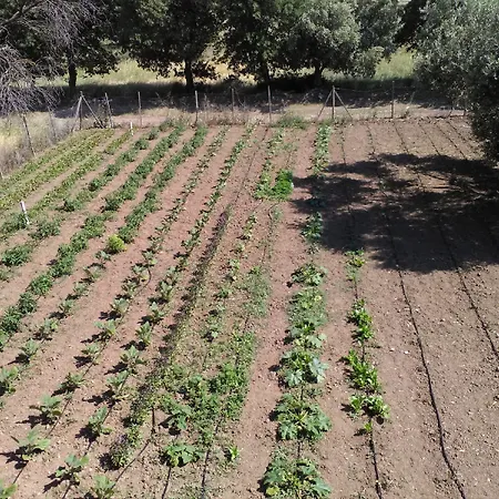 Herrara 住宿加早餐酒店 Geyikli