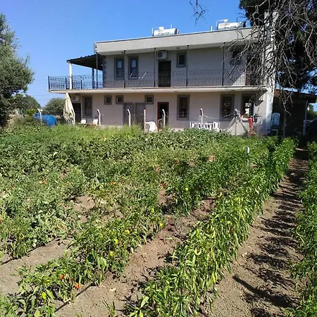 住宿加早餐酒店 Herrara *