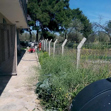 住宿加早餐酒店 Herrara