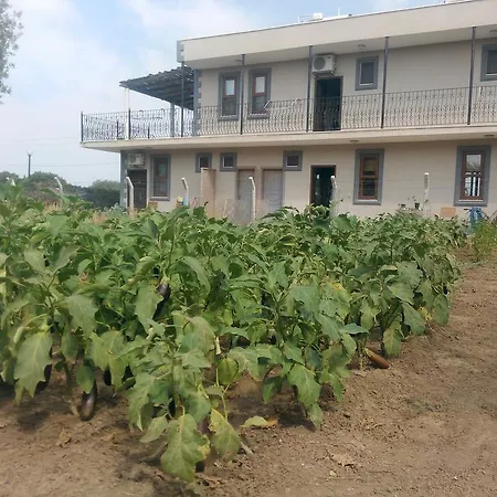Herrara 住宿加早餐酒店